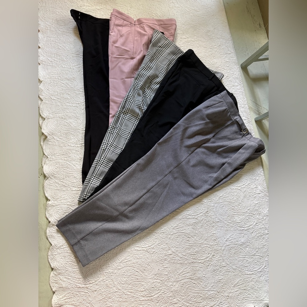 Women’s Designer Dress pants / slacks clearance! size 12 - lot of 5!